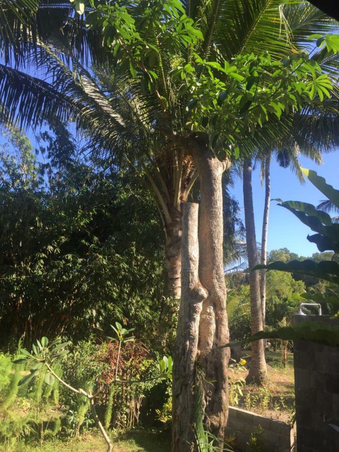 Red Island Villas Banyuwangi  Exterior foto